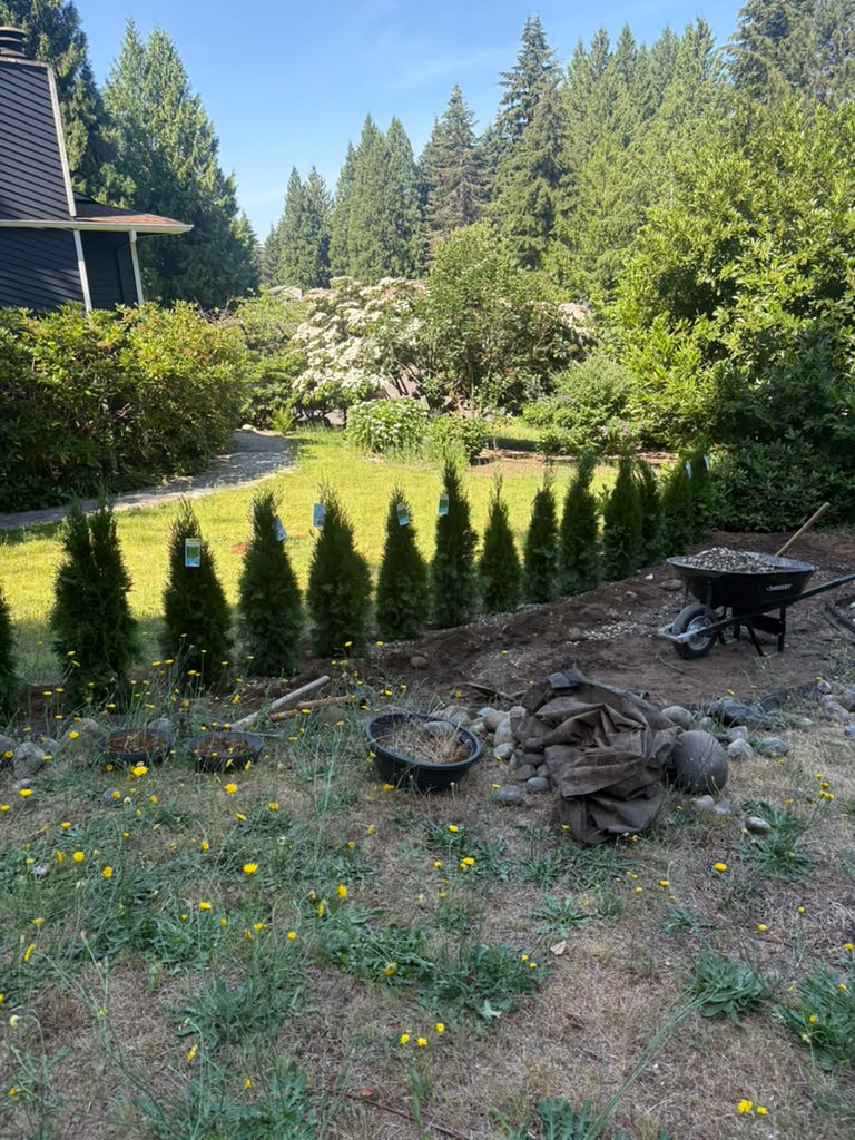 About DIAZ LANDSCAPING & CONCRETE LLC